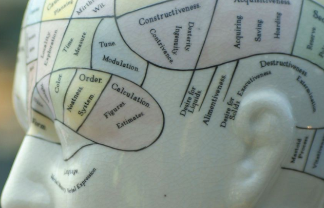 qual e o seu perfil comportamental