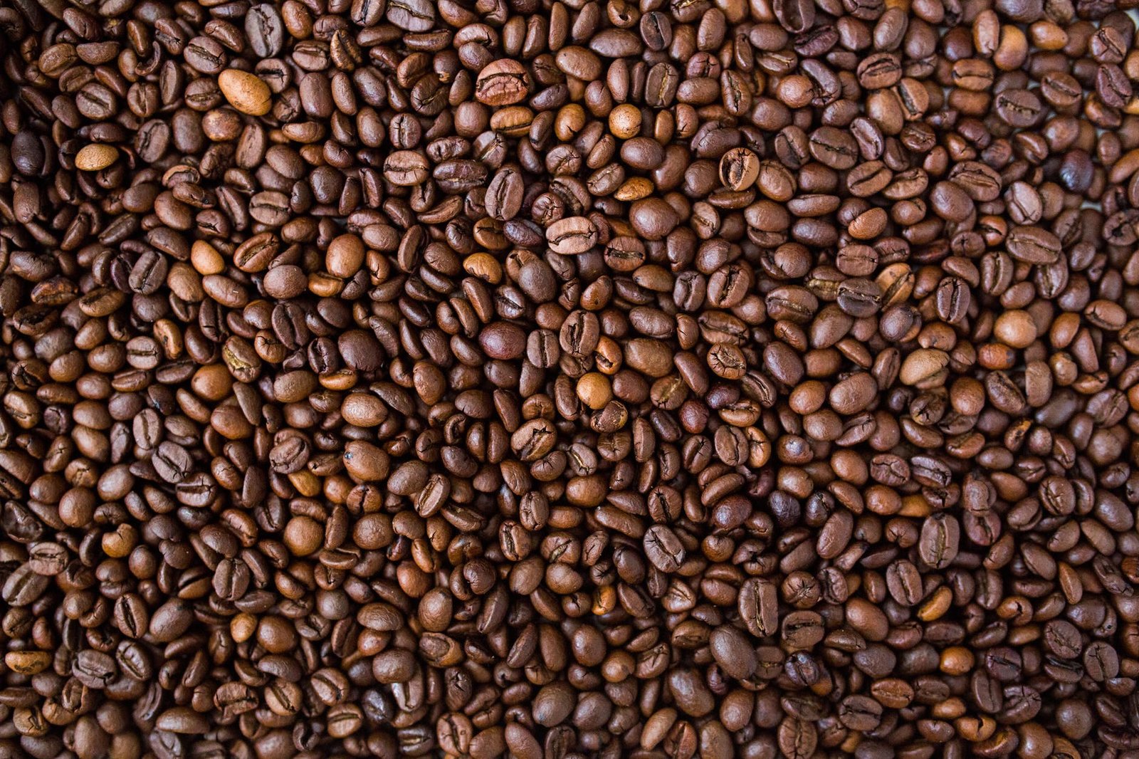 244