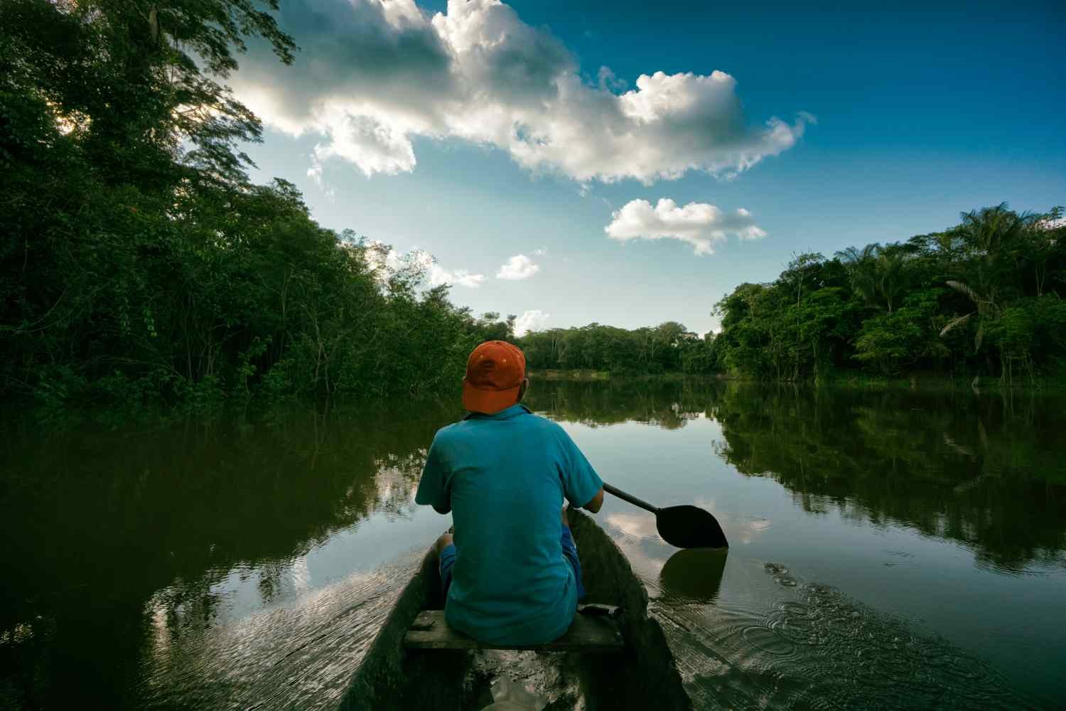agro_floresta_Amazonia_24_ago_22_Kim-Schandorff_Gettyimages