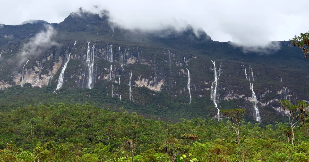 (Foto: Ivan Prates/USP Imagens)