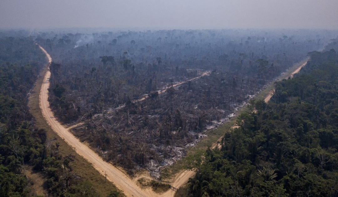(Foto: Fernando Martinho/Repórter Brasil)