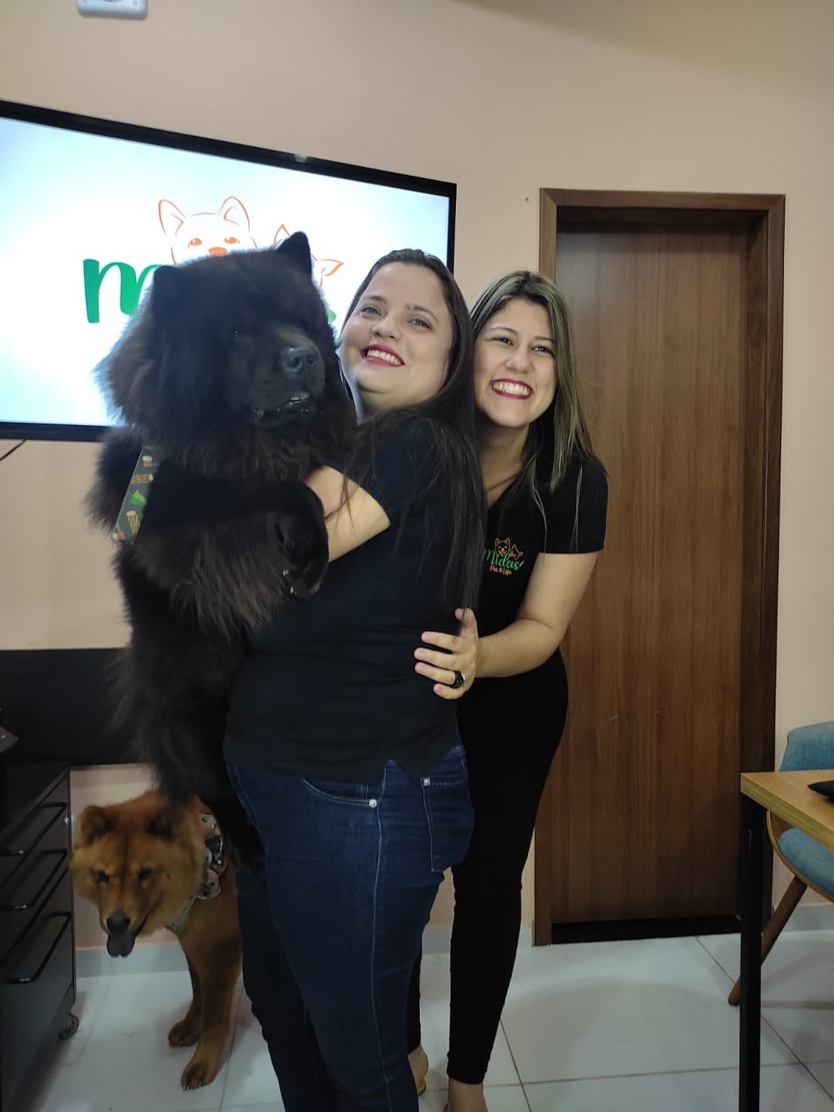 (Foto: Divulgação)