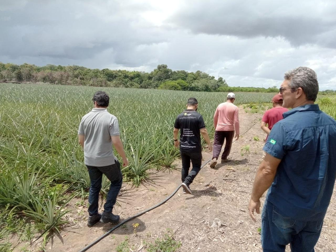 (Foto: Marcus Silva/Divulgação)