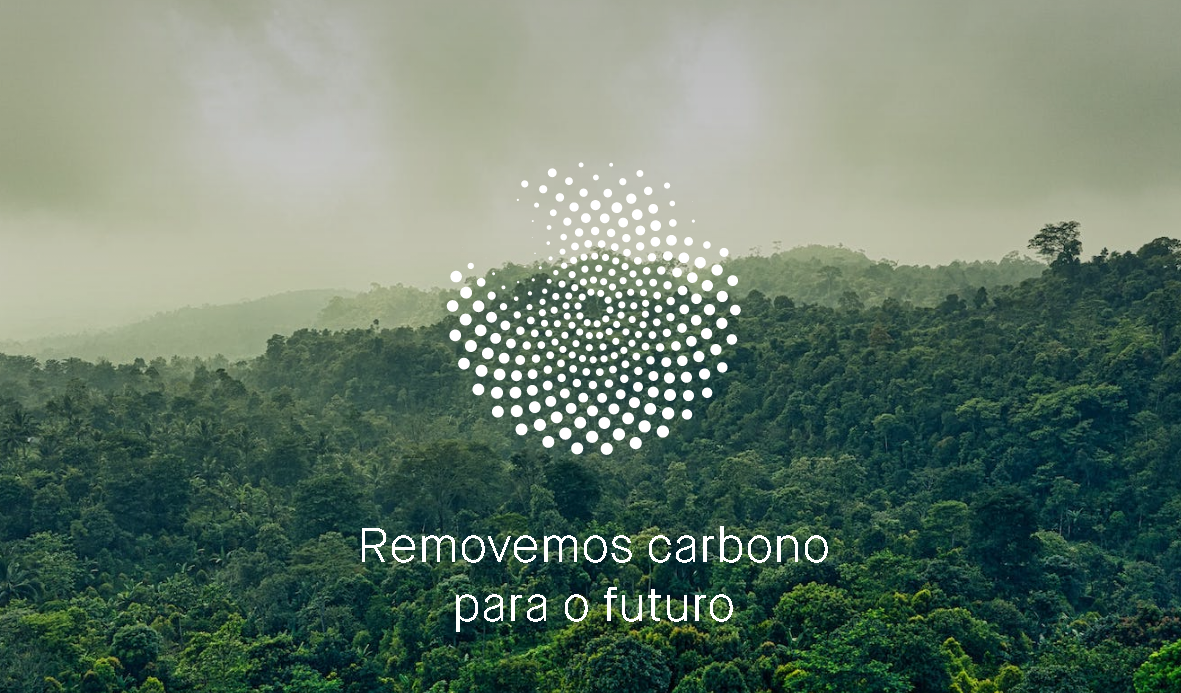 (Foto: Reprodução)