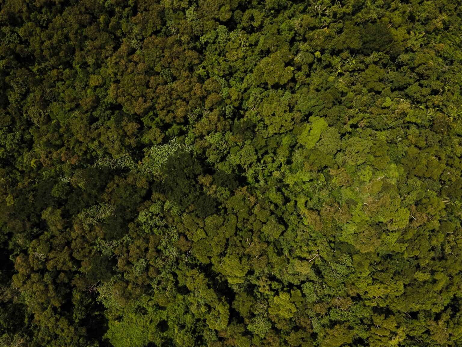 Foto: Arquivo/Secom
