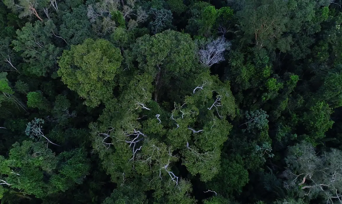 Foto: Divulgação TV Brasil