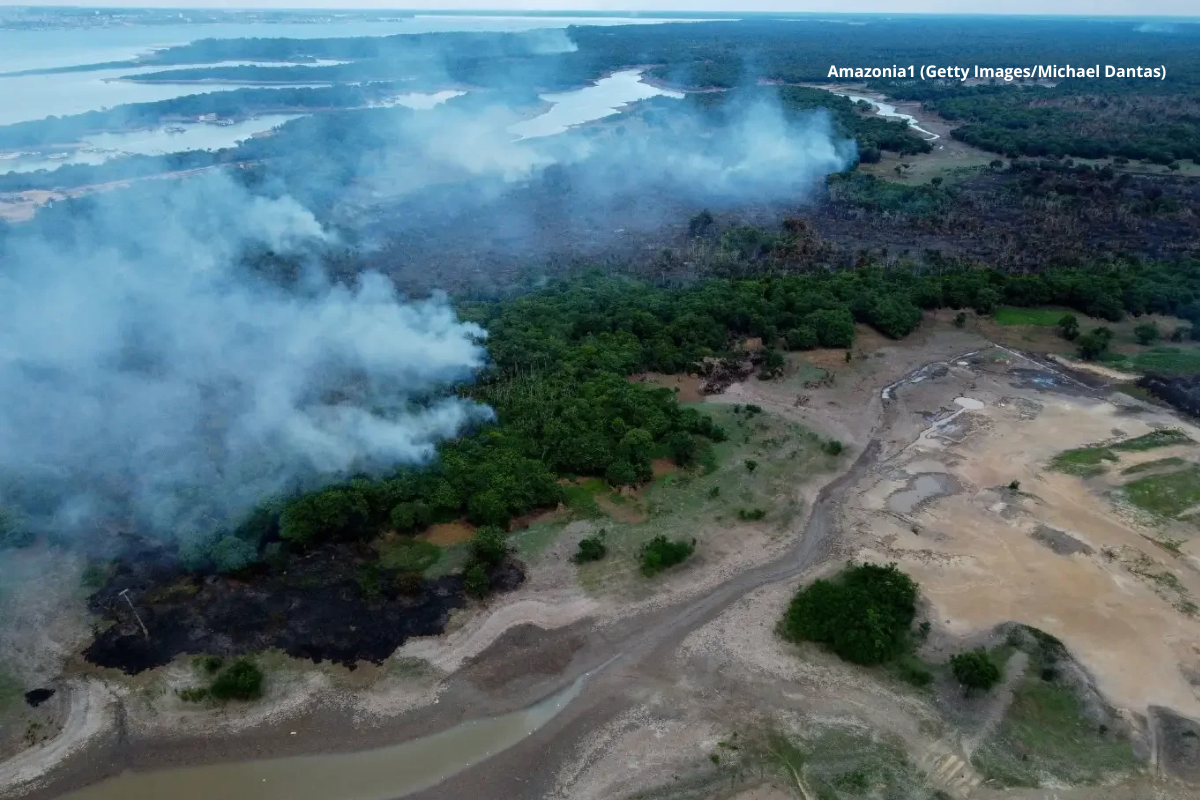 Foto: Amazonia1 (Getty Images/Michael Dantas)