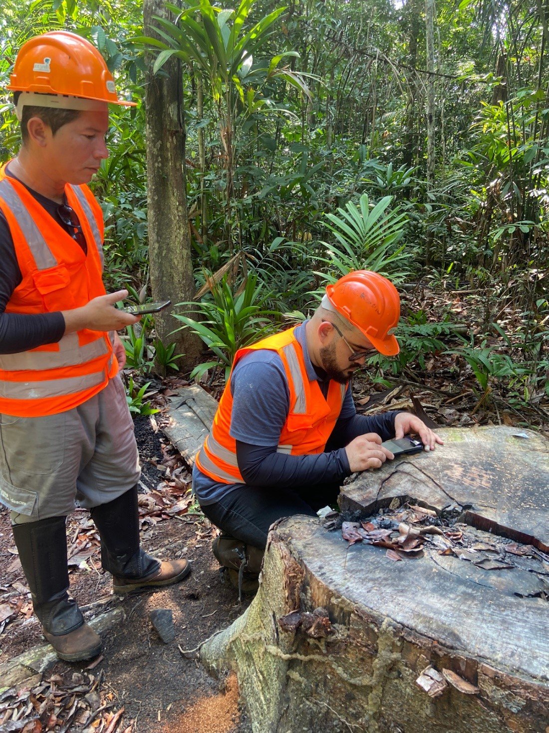 Foto: Arquivo pessoal da Woodscan