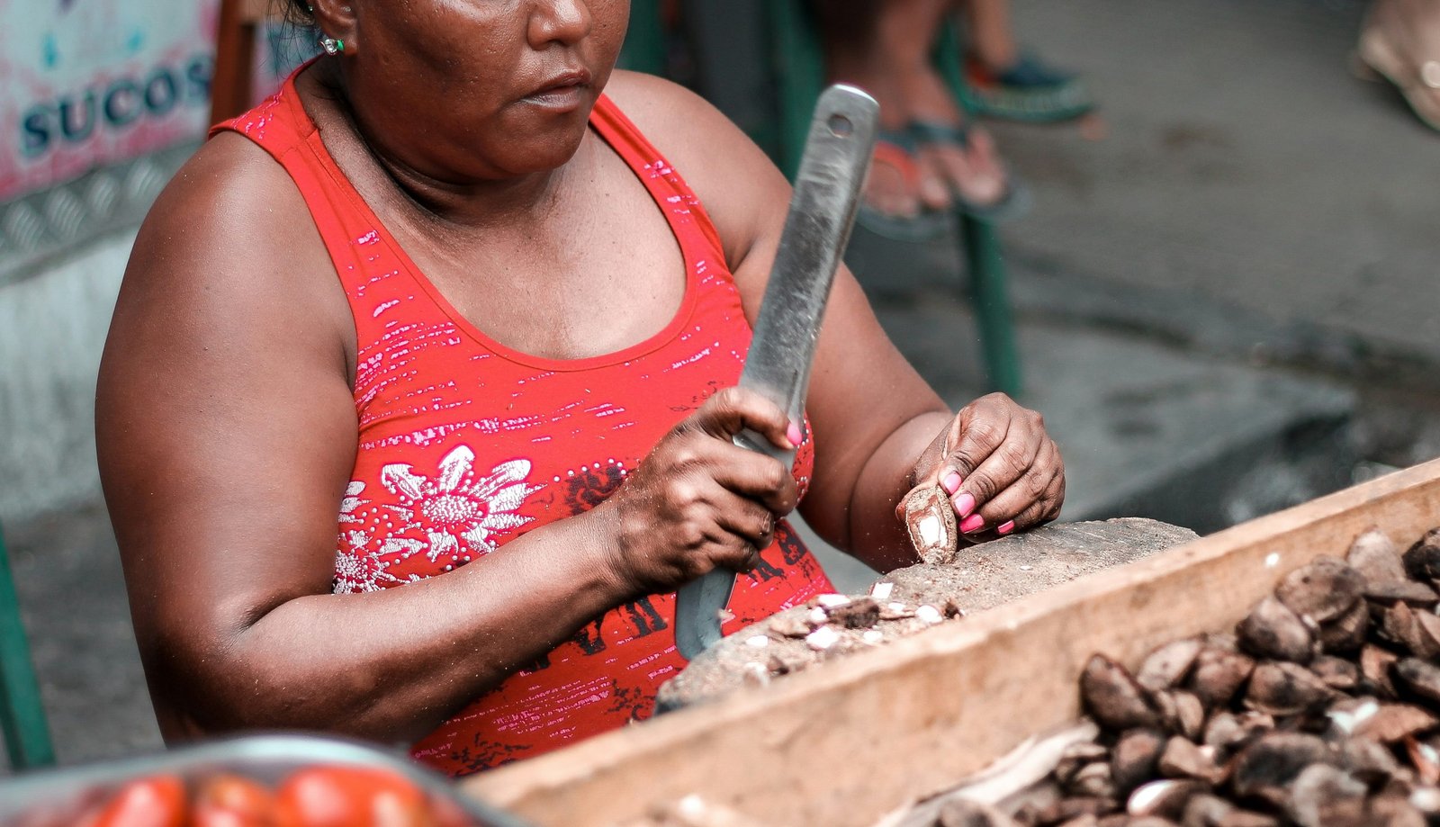 Foto: Tadeu Jnr no Unsplash