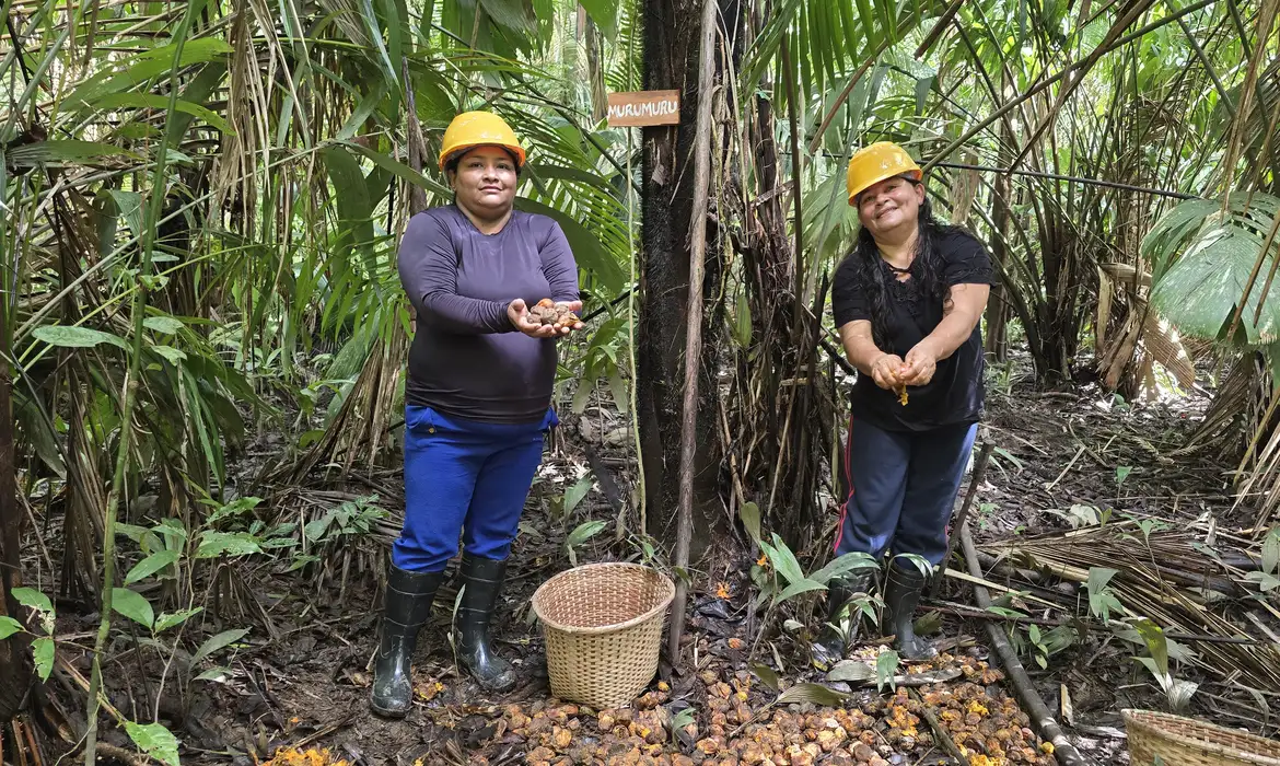Foto: Anderson Águia/Natura/WEG