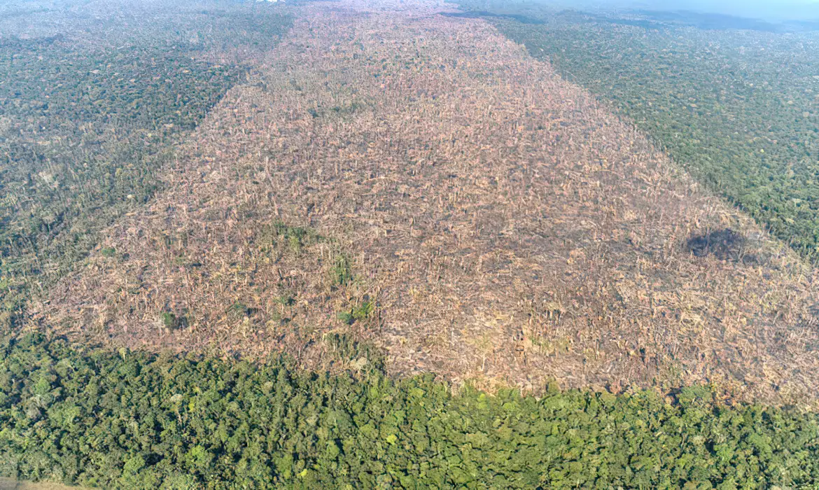 desmatamento-em-labrea-municipio-do-sul-do-amazonas-foto-victor-moriyama-amazonia-em-chamas-2021-2