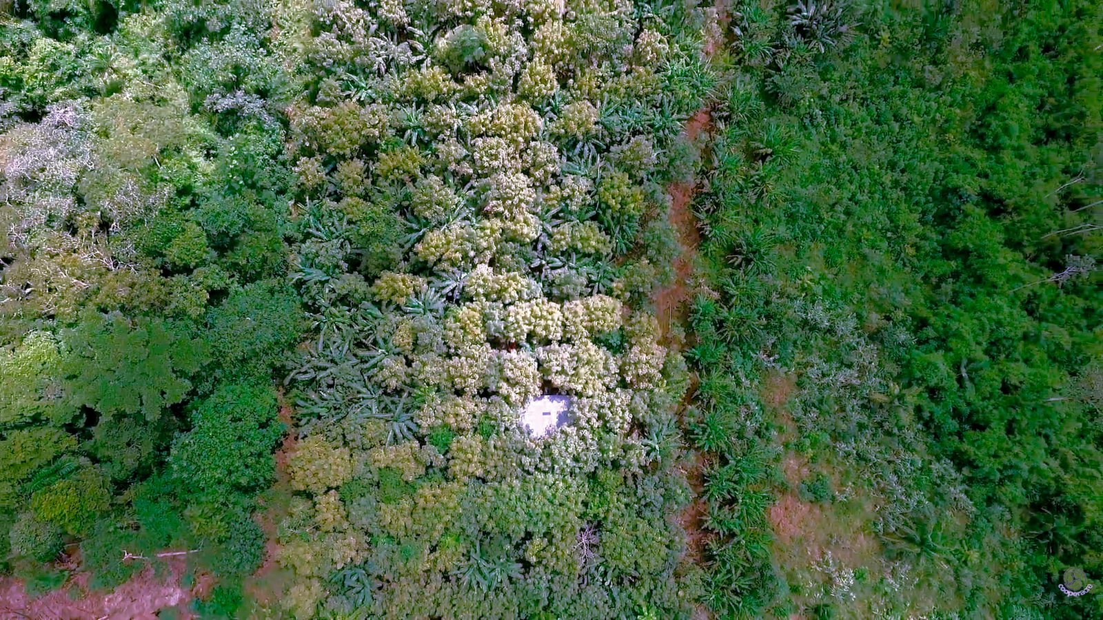20260401_Cooperacre