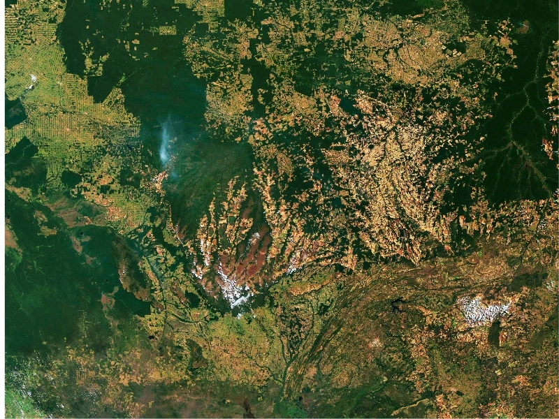 inditex-aplica-e65-milhoes-a-protecao-da-amazonia-img01